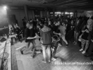 DSC3537