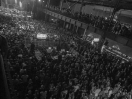 DSC2320
