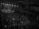 DSC2324