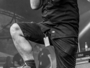 DSC3965
