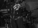 DSC3942