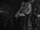 DSC3952
