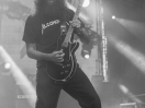 DSC5243