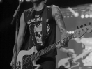 DSC7383