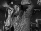 DSC7788