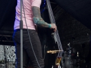 DSC6317