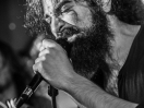 DSC6544
