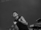 DSC8212