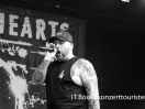DSC4371