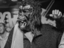 DSC7972