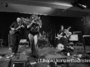 DSC5206