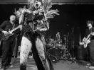 DSC5228