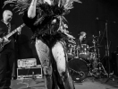 DSC5235