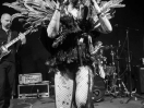 DSC5237