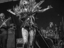 DSC5273