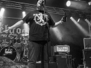 DSC3101